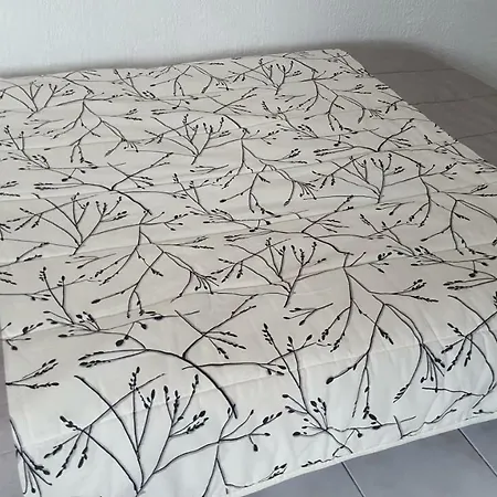 Apartment Centre Proche Nice